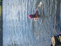 Mainschwimmen Juni 2026